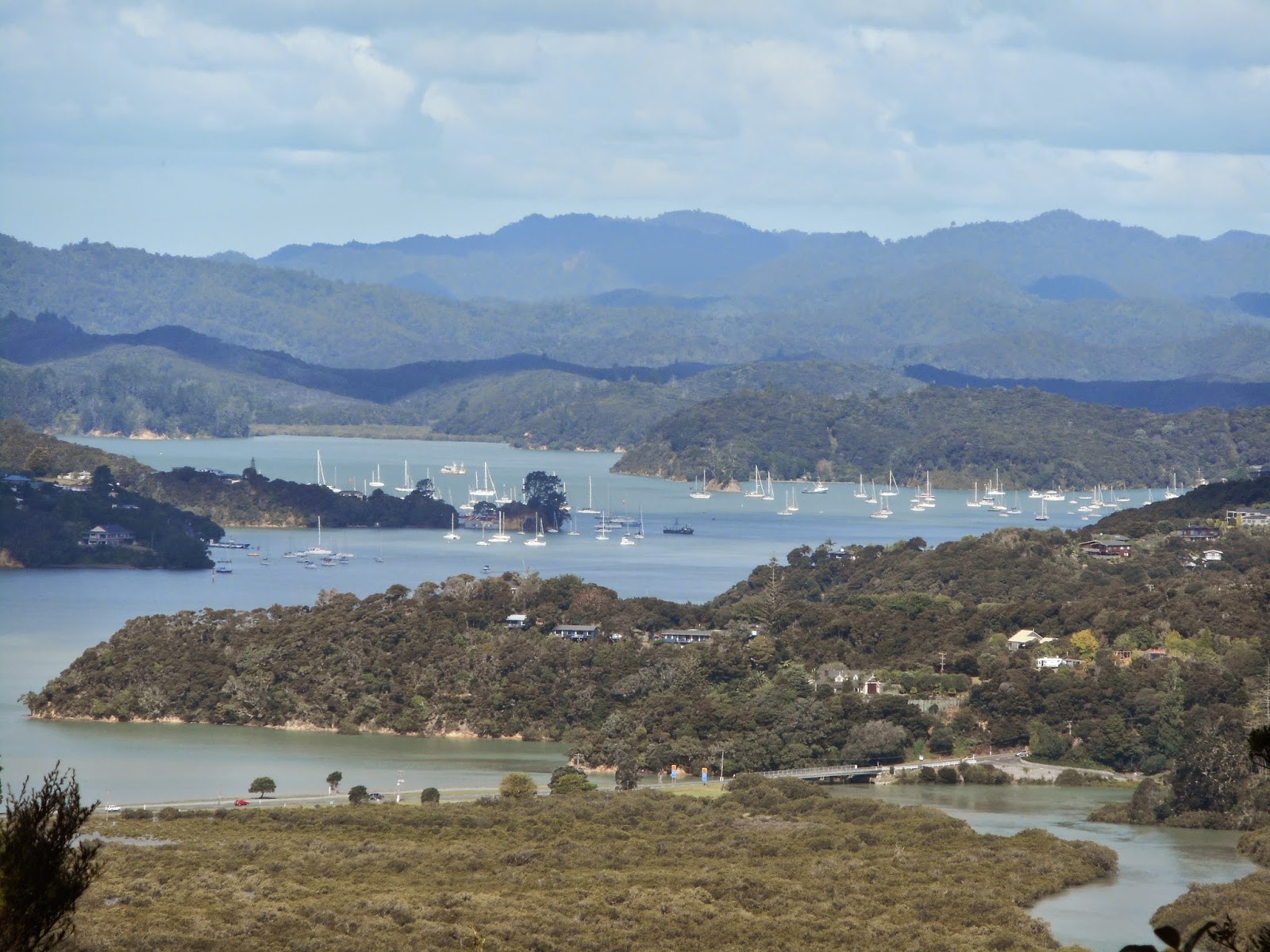 New Zealand Jungle Fever